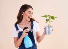 Battle Pests With This List Of Helpful Tips - MultiTechGuru