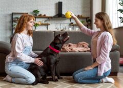 Choosing Appropriate Toys - Separating The Wheat From The Chaff