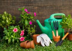 Design Is The Most Important Aspect Of Your Landscaping - MultiTechGuru