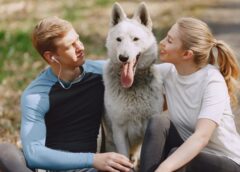 Easy To Follow Ideas About Dogs That Will Really Help You