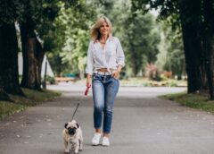 Easy To Understand Tips And Advice About Dogs - MultiTechGuru