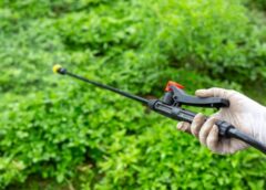 Effective Tips On How To Get Rid Of Pests - MultiTechGuru