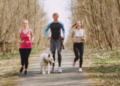 Everything You Need To Know About Dog Training - MultiTechGuru