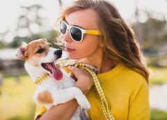 Finding A Way To Reach Your Dog And Improve Their Behavior