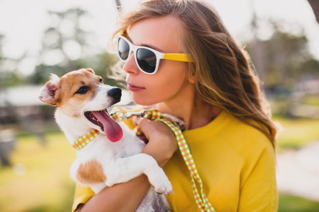 Finding A Way To Reach Your Dog And Improve Their Behavior