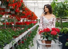 Gardening Without Chemicals Everything You Need To Know About Organic Gardening