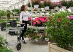 Get A Better Garden With These Sensible Gardening Tips! - MultiTechGuru