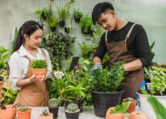 Great Gardening Advice On Great Organic Gardening - MultiTechGuru