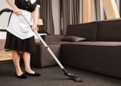 Guidance For Choosing The Right Carpet Cleaning Company - MultiTechGuru