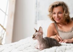 Helping You Understand The World Of Cats With These Simple Tips