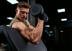 Excellent Article About Muscle Building That Is Simple To Follow Along - MultiTechGuru