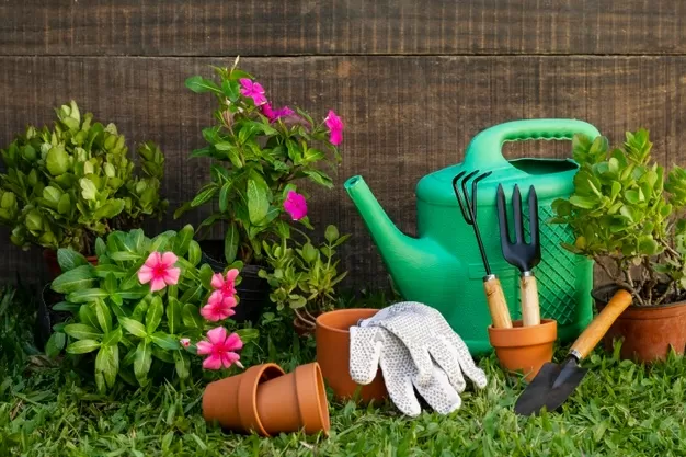 Design Is The Most Important Aspect Of Your Landscaping - MultiTechGuru