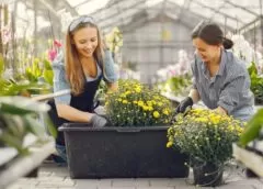 Get Growing! Organic Gardening Tips And Tricks - MultiTechGuru