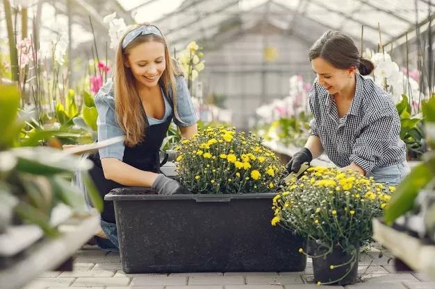 Get Growing! Organic Gardening Tips And Tricks - MultiTechGuru