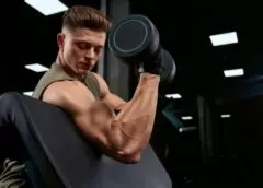 Excellent Article About Muscle Building That Is Simple To Follow Along - MultiTechGuru