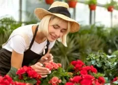 Flower Gardening And How You Can Make Your Yard Look Lovely - MultiTechGuru